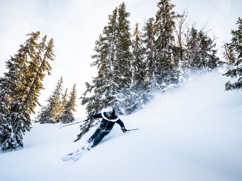 Ein Skifahrer fährt durch frischen Schnee zwischen hohen Bäumen. | © Intersport Bründl