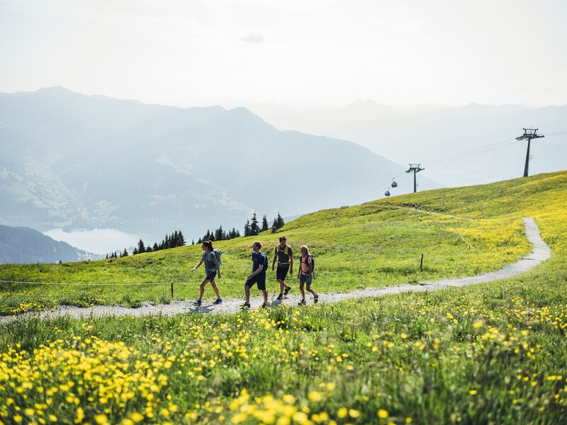 Vier Wanderer auf einem Pfad in den Bergen, umgeben von Blumen. | © Schmittenhöhebahn AG