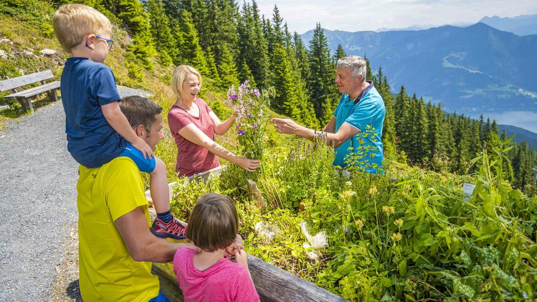 A family explores the Herb Trail on Schmittenhöhe. | © Schmittenhöhebahn AG/Max Steinbauer