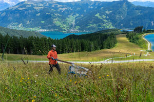 Eine Person mäht Gras mit der Hand in einer bergigen Landschaft. | © Schmittenhöhebahn AG
