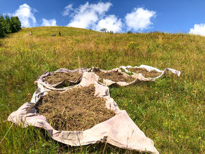 Hay on tarps on an alpine meadow, people in the background. | © Schmittenhöhebahn AG
