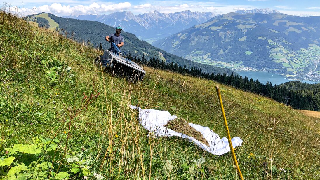 A person mowing a grassy hillside in the mountains with a stunning view of a lake and surrounding mountains. | © Schmittenhöhebahn AG